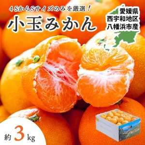 [2025年11月より順次出荷]小さいみかんを厳選!愛媛みかん小玉3kg[訳あり][A25-218]