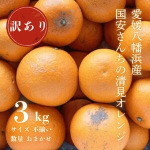 [まるで食べるジュース!越冬完熟品]愛媛産 訳あり 清見オレンジ 3kg[C20-87]