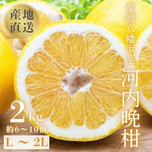 sʏ`ՂW[V[tYn QlY ͓ӊ2kgyC20-90zy1625429z