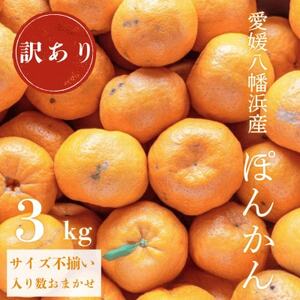 [南国を感じさせる独特の香り]訳あり 愛媛ポンカン 3kg[C20-91]