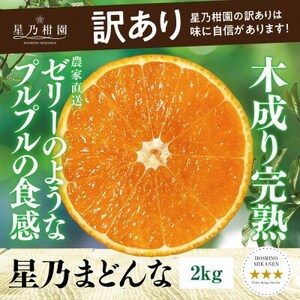 【三つ星ブランド】訳あり 星乃まどんな(2kg)【C45-91】【1625773】
