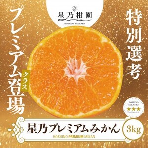 [三つ星ブランド]星乃みかんプレミアムシリーズ(3kg)[C45-94]