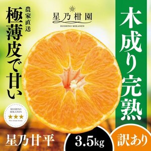 y󂠂zT݂񉀂̊Õ(3.5kg)yD45-95zy1625779z