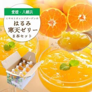 ゲル化剤・pH調整剤不使用!愛媛産 はるみ寒天ゼリー 8本セット[C25-231]
