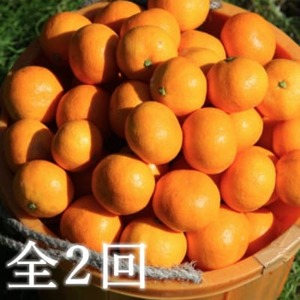 [発送月固定定期便]代々橙みかん5kg(家庭用・サイズ混合)[E83-50]全2回