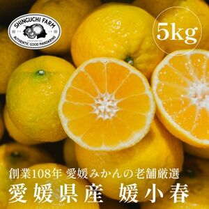 【黄色いのに驚きの甘さ】媛小春 5kg【老舗農家厳選】【G70-86】【1633362】