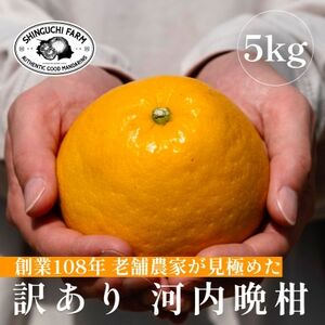 Q݂̘V܁y͓ӊ 󂠂 5kgzV_yC70-87zy1635557z