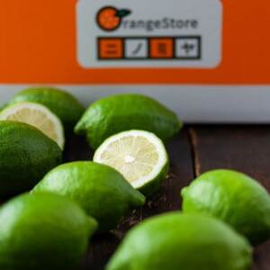 yĂ̍AuBzăO[@4kgyC49-102zy1636534z