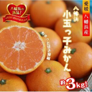 2025N11`oׁ@EZȖ킢!!ulʂq݂v3kgyA39-80zyzsnFzy1639302z