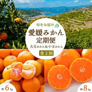 [発送月固定定期便][2025年11月より発送]みかん大玉8kg×小玉6kg[E25-246]全2回