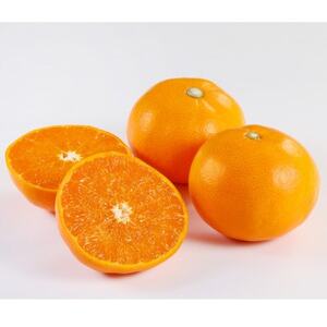 Ƃ1.5kg(Gi)yC21-43zy1647048z