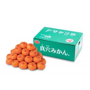 真穴みかん[Mサイズ] 約3kg[D43-10]