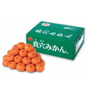 ^݂y2LTCYz5kgyE43-11zy1654525z