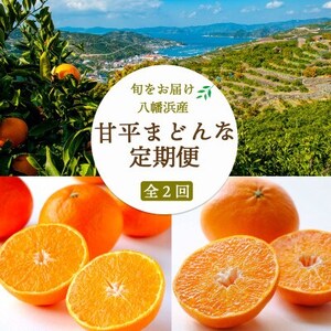 [発送月固定定期便][愛媛の人気高級品種]まどんな2.5kg×甘平3kg[H25-266]全2回