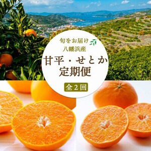 [発送月固定定期便][愛媛限定栽培]甘平3kg(秀)×せとか3kg(訳)[H25-272]全2回