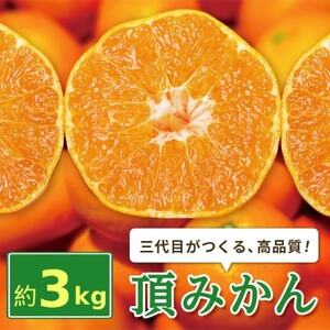三代目がつくる高品質【頂みかん】3kg【1181950】