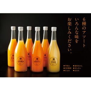 6݂W[XZbg12{Zbg(e2{)yH56-85zy1668721z