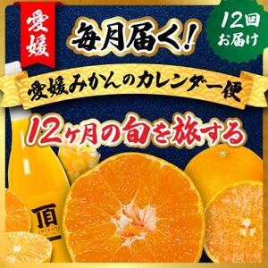[発送月固定定期便]毎月届く!みかんのカレンダー便 〜12ヶ月の旬を旅する〜[H31-62]全12回[配送不可地域:離島]