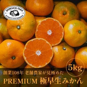 [数量限定]老舗農家が見極めたプレミアム[小玉]極早生みかん5kg[愛媛県川上産][C70-88]