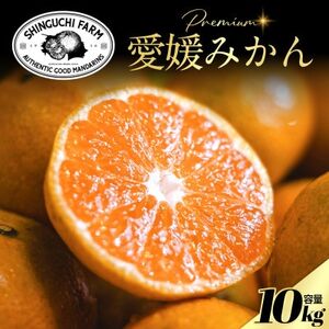 Vܔ_Ƃɂ߂v~AyQ݂10kgzyQYzyE70-91zy1671175z