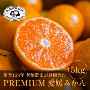 老舗農家が見極めたプレミアム[小玉]愛媛みかん5kg[愛媛県川上産][A70-92]