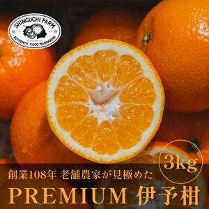 老舗農家が見極めたプレミアム[伊予柑3kg][愛媛県川上産][C70-94]