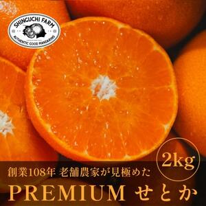 [数量限定]老舗農家が見極めたプレミアム[せとか2kg]柑橘の大トロ[愛媛県川上産][C70-96]