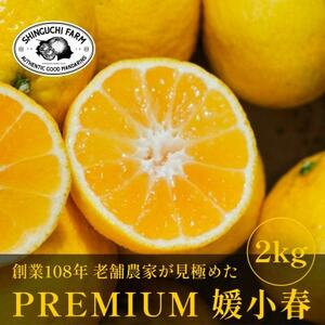 [数量限定]老舗農家が見極めたプレミアム[媛小春2kg] 愛媛県新品種[C70-99]