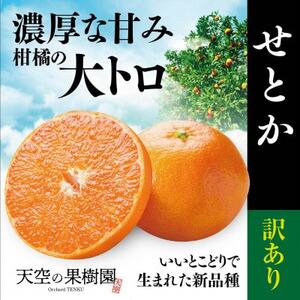 V̉ʎ͂ 点Ƃy󂠂z (3kg)yC95-3zy1668442z