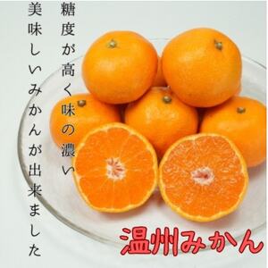 QlY ɊÂ݂ 5kgyD96-2zy1670376z