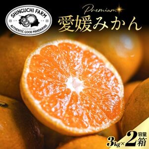 Vܔ_Ƃɂ߂v~AyQ݂3kg×2zyQYzyD70-104zy1677117z