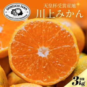 yVct܎Ynz݂ 3kgyʁzyQlszV_IyA70-121zy1683965z