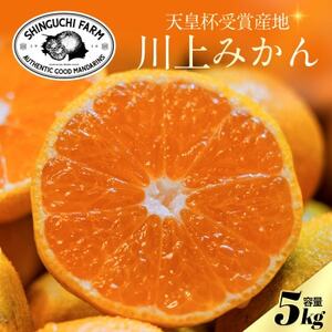 yVct܎Ynz݂ 5kgyʁzyQlszV_IyC70-123zy1683975z