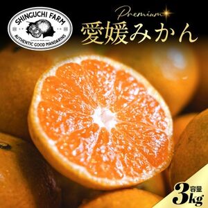 Vܔ_Ƃɂ߂v~AyQ݂3kgzyQYzyA70-124zy1683978z