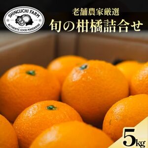 Q݂̘V܌I {̃v~Ak lߍ킹 5kgyE70-128zy1684311z