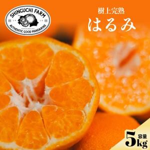 Vܔ_Ƃɂ߂v~Ay͂5kgzy󏭁Ev`v`HzyD70-131zy1684364z