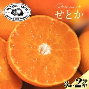 yʌzVܔ_Ƃɂ߂v~AyƂ3kg×2zk̑gyH70-115zy1683912z