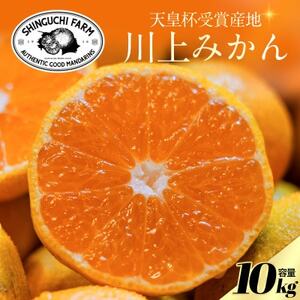 yVct܎Ynz݂ 10kgyQlszV_IyE70-126zy1684224z