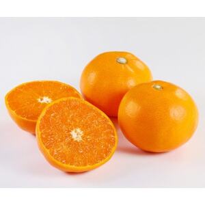 yƒpzƂ3kgyC21-55zy1682659z