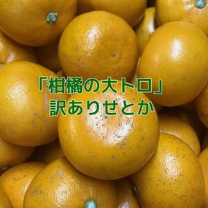 y󂠂zƂ3kgyC21-56zyzsnFzy1682791z