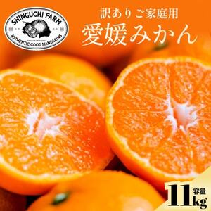 y󂠂肾ǔ̂܂܁zQ݂ 11kg QYyC70-136zy1686736z