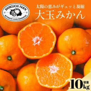 yʃTCYzܑڂIQ݂ 10kgyC70-137zy1686743z