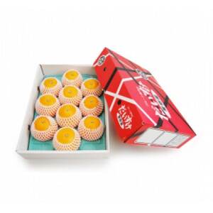 vv̉ʓƂƂ낯!QlYQ܂ǂ3kgypzyD35-11zyzsnFEkCEꌧzy1492228z