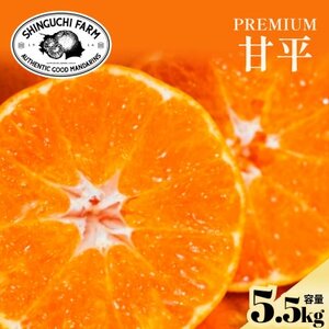 žb݂MbƋÏk!yÕ5.5kgzeÂƃVLbƐH!yG70-144zy1688645z