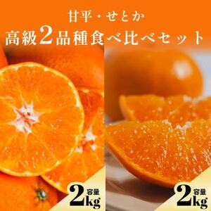 yv~Ak ґHה׃ZbgzÕ2kg+Ƃ2kg 2iyF70-145zy1689222z