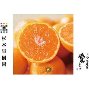 [家庭用]真穴、八寿みかん(南柑20号)3kg[A34-39]