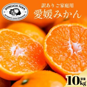 ���V�[�Y�������J�n!�y�󂠂�z���Q�݂��� 10kg ���Q���Y�yD70-147�z�y1695552�z