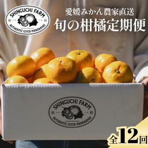 �y�������Œ����ցz���Q�t���[�c�{�̉ʕ� �v���~�A�����k�}�� �_�ƒ����yH70-148�z�S12��y4078089�z