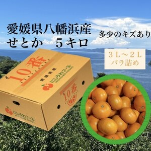 ���Q�������l�Y�u���Ƃ��v5kg�@�T�C�Y3L�`2L�yF79-30�z�y1698686�z