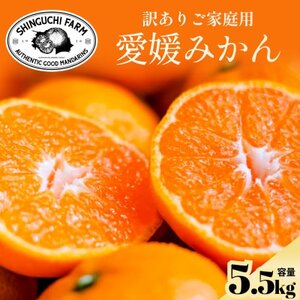 今シーズン発送開始![訳あり]愛媛みかん 5.5kg 愛媛県産[A70-149]